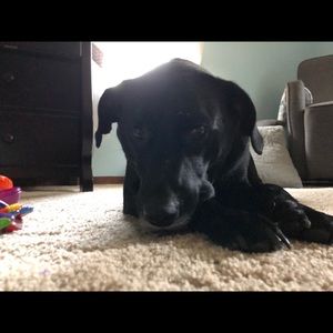 Meet your Posher, Traci